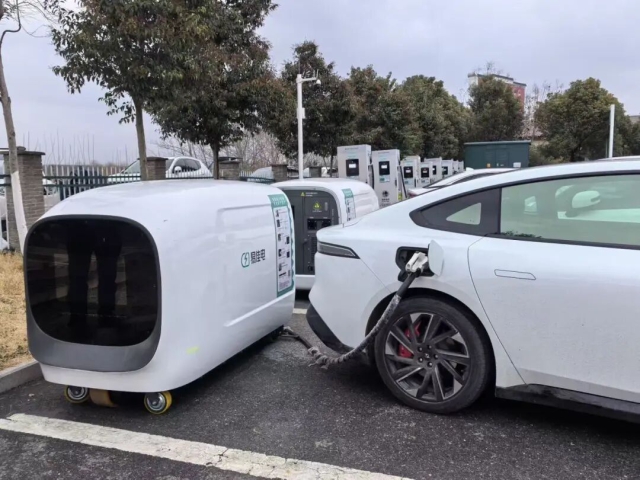 1767594142283016.jpg 04.jpg